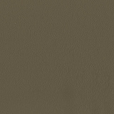 5504 tortora - Spring Leather